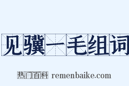 见骥一毛组词是什么意思的图片